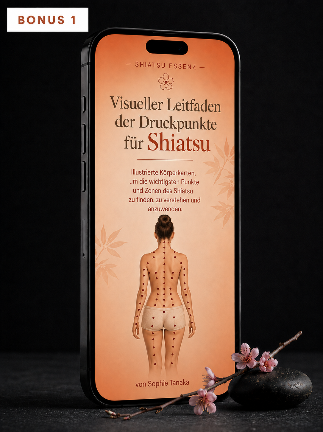 Bonus 01 — Visueller Leitfaden der Shiatsu-Druckpunkte