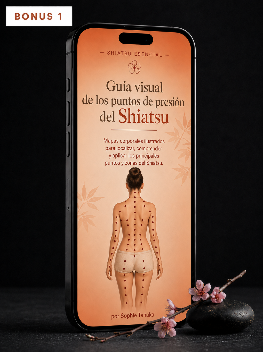 Bono 01 — Guía Visual de los Puntos de Presión del Shiatsu