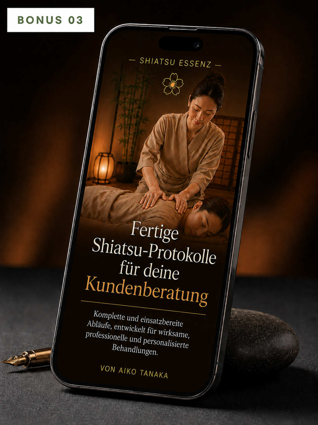 Bonus 03 — Fertige Shiatsu-Behandlungsprotokolle